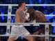 oleksandr usyk dhe daniel dubois