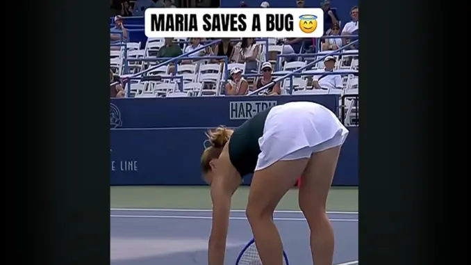 maria sakkari