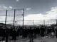 torcida